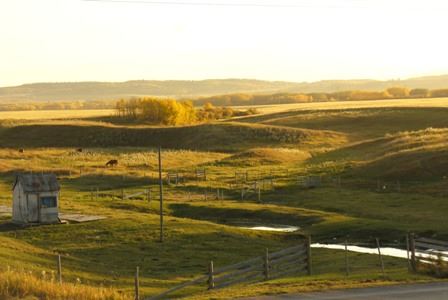 Fall view in Black Diamond, AB